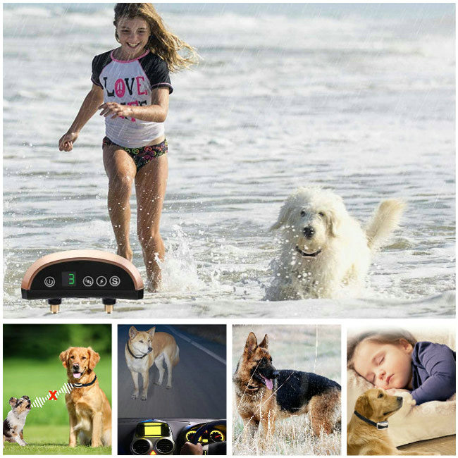 Rechargeable et Etanche Automatique Anti-Aboiement pour Chien Collier de Dressage chien
