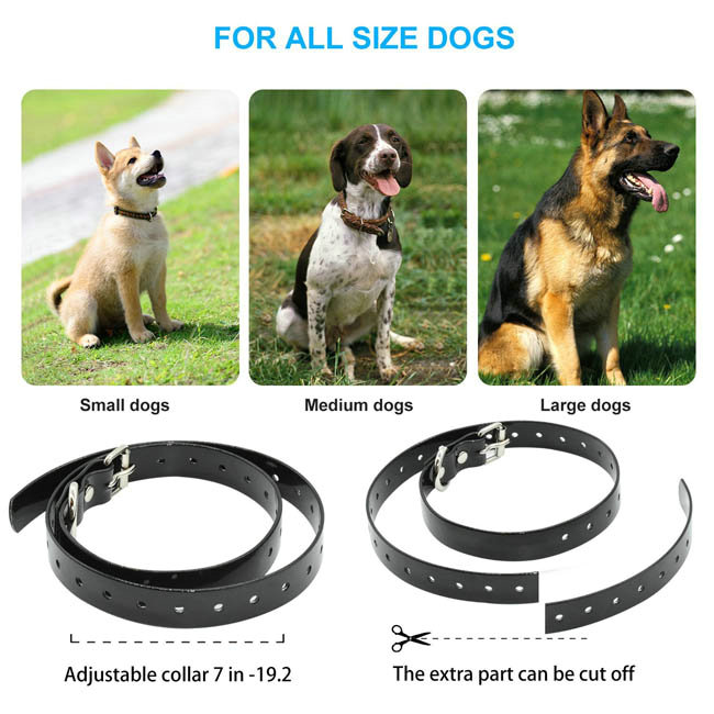 Collier de Dressage Anti-aboiement Etanche Rechargeable pour Chien