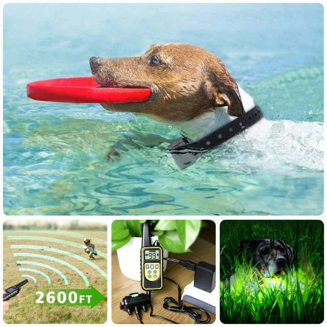 Collier de Dressage Anti-aboiement Etanche Rechargeable pour Chien
