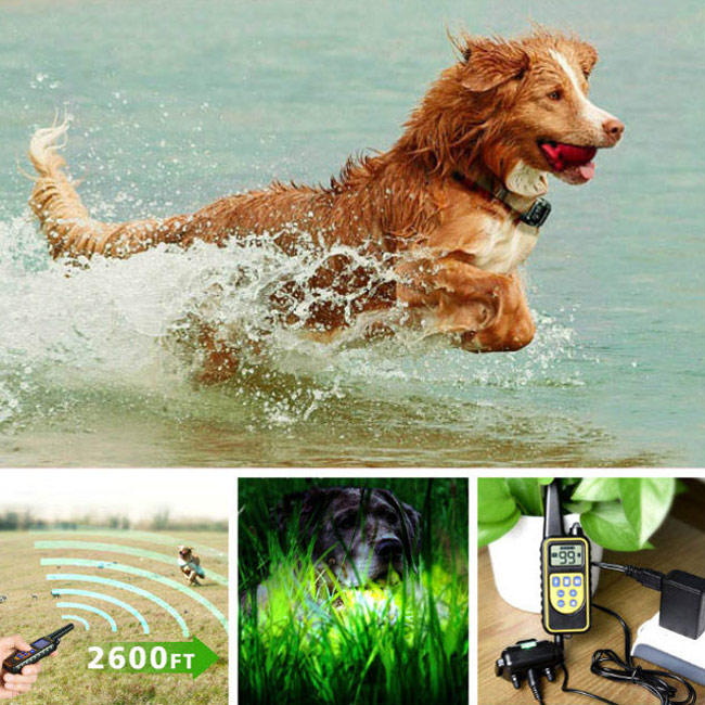 Collier de Dressage Anti-aboiement Etanche Rechargeable pour Chien