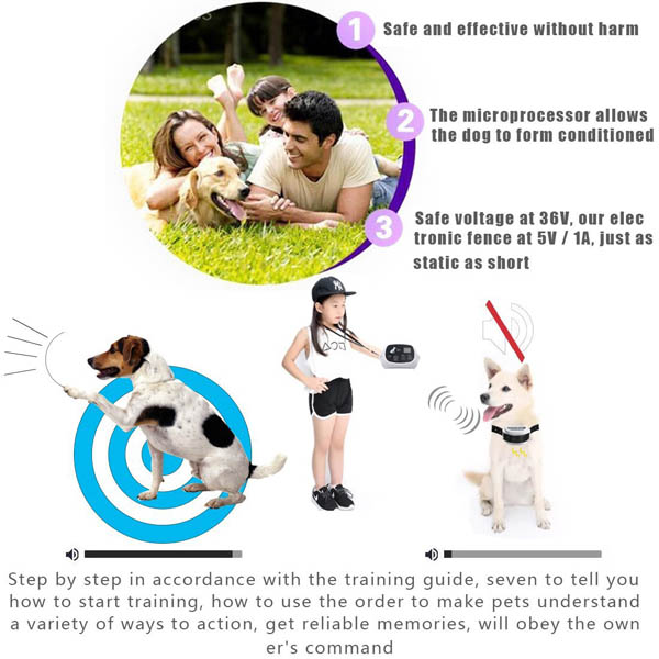 Clôture Anti Fugue Electronique sans fil pour Chien avec 2 colliers