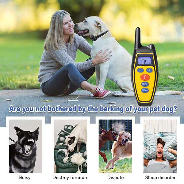 Collier de dressage pour chien 2 en 1 Contrôle automatique anti-aboiement avec télécommande rechargeable et étanche à la pluie