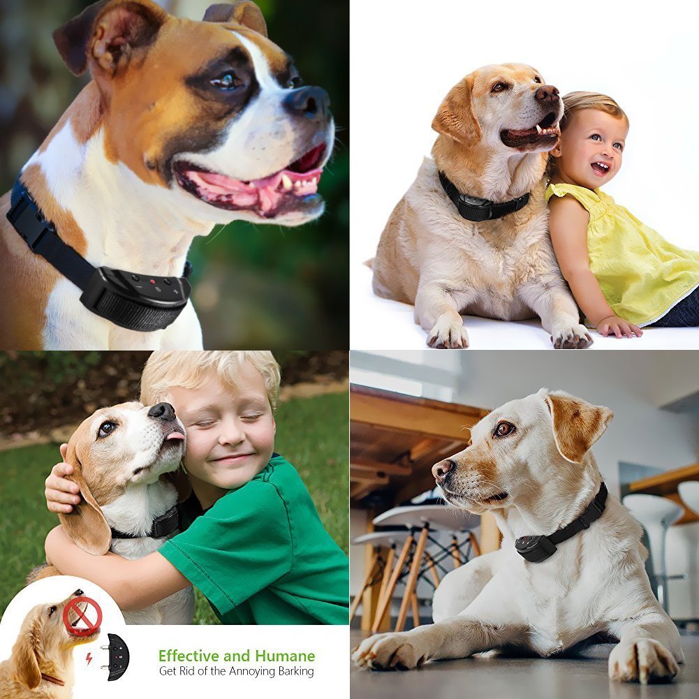 Automatique Anti-Aboiement pour Chien Collier de Dressage chien