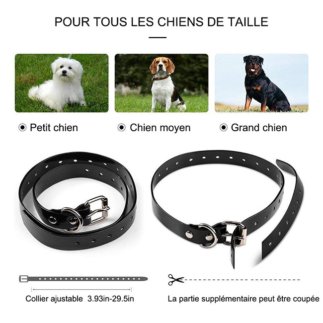 Collier dressage chien 600 mètres imperméable et rechargeable pour 2 chiens