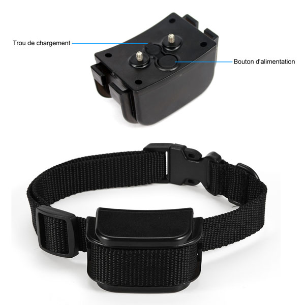 Collier dressage chien télécommande imperméable et rechargeable 300m Anti Aboiement