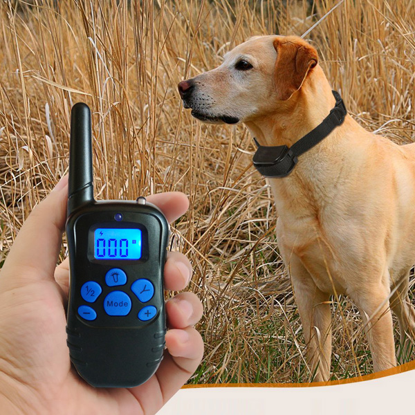 Collier dressage chien télécommande imperméable et rechargeable 300m Anti Aboiement