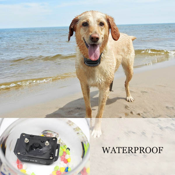 Collier dressage chien électrique rechargeable et étanche 1000m Anti Aboiement Ceinture TPU réglable