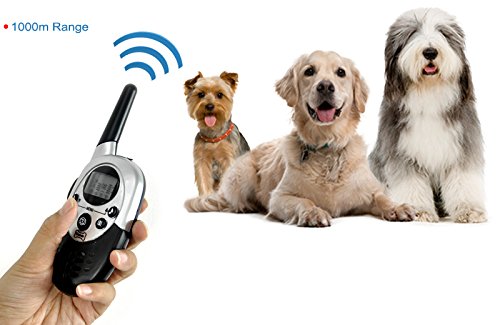 Collier dressage chien électrique rechargeable et étanche 1000m Anti Aboiement Ceinture TPU réglable