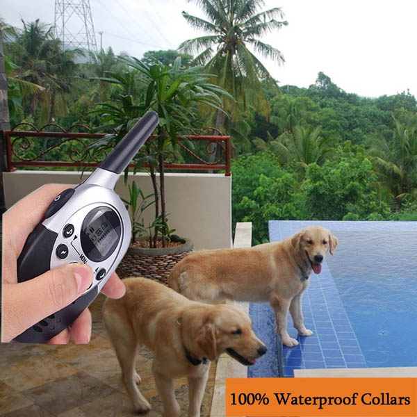 Collier dressage chien Electrique Rechargeable et Etanche 1000m Anti Aboiement pour 2 chiens