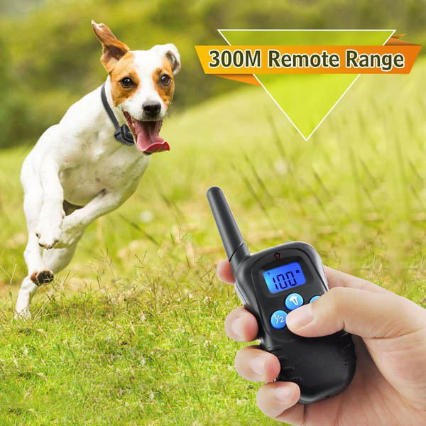 Collier dressage chien télécommande imperméable et rechargeable 300m Ceinture TPU réglable