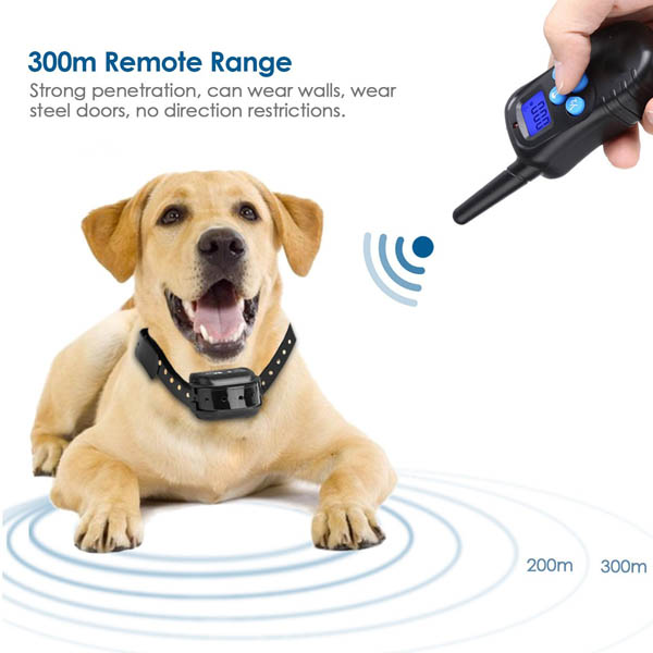 Collier dressage chien distance imperméable et rechargeable 300m Ceinture TPU réglable pour 2 chiens